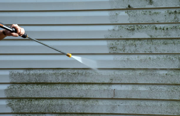 Best Sidewalk and Walkway Cleaning  in Loughman, FL