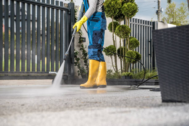Boat and Dock Cleaning in Loughman, FL